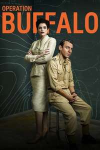 Operation Buffalo - Posters