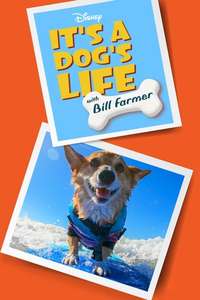 It's A Dog's Life - Posters