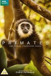 Primates