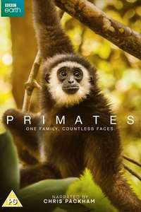 Primates - Posters