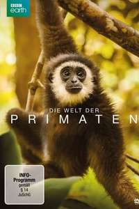 Primates - Posters