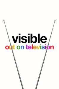 Visible: Out on Television - Posters