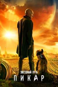 Star Trek: Picard - Posters