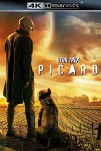 Star Trek: Picard - Posters