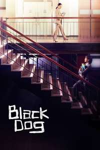 Black Dog - Poster