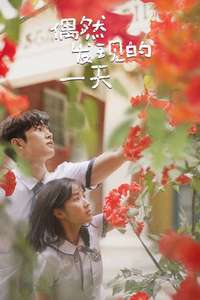 Extra-Ordinary You - Posters