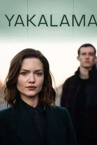 The Capture - Posters