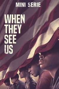 The Central Park Five - Posters