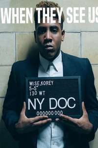 The Central Park Five - Posters