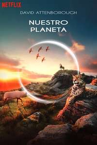 Our Planet - Posters