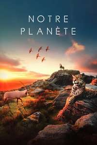 Our Planet - Posters