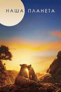 Our Planet - Posters