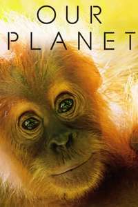 Our Planet - Posters