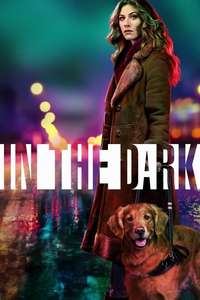 In the Dark - Posters