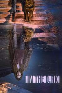 In the Dark - Posters
