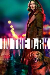 In the Dark - Posters
