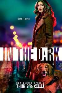 In the Dark - Posters