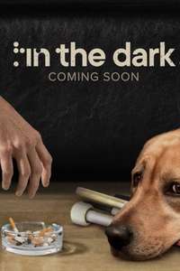 In the Dark - Posters