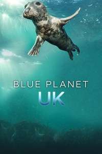 Blue Planet UK - Poster