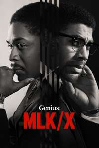 Genius - Posters
