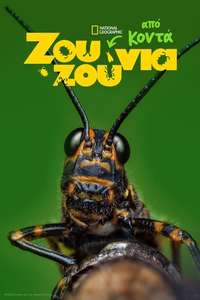 A Real Bug's Life - Posters