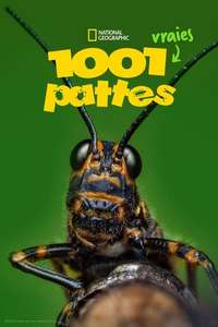 A Real Bug's Life - Posters