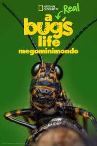 A Real Bug's Life - Posters
