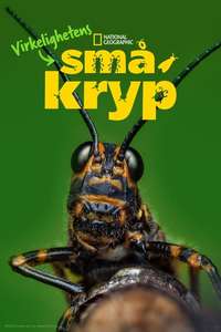 A Real Bug's Life - Posters