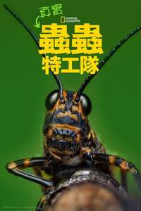 A Real Bug's Life - Posters