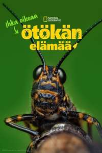 A Real Bug's Life - Posters