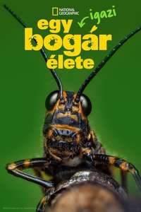 A Real Bug's Life - Posters