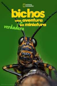 A Real Bug's Life - Posters