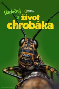 A Real Bug's Life - Posters