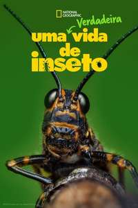 A Real Bug's Life - Posters