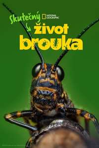 A Real Bug's Life - Posters