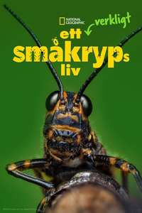 A Real Bug's Life - Posters