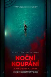 Night Swim - Posters
