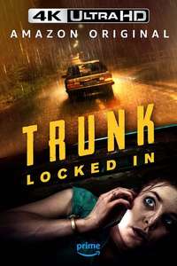 Trunk: Locked In - Posters