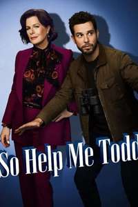 So Help Me Todd - Posters