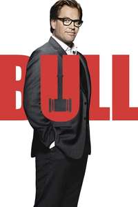 Bull - Posters