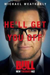 Bull - Posters