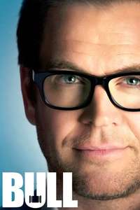 Bull - Posters