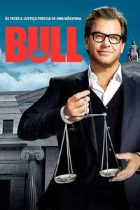 Bull - Posters