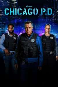 Chicago P.D. - Posters