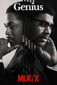 Genius - Posters