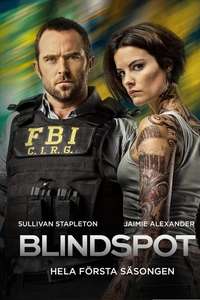 Blindspot - Posters