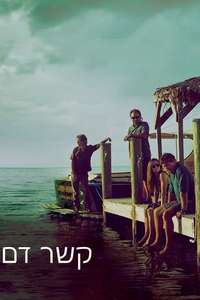 Bloodline - Posters