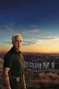 Bosch - Posters