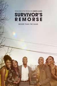 Survivor's Remorse - Posters