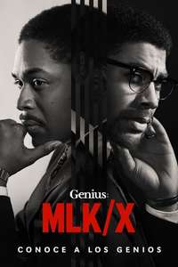 Genius - Posters